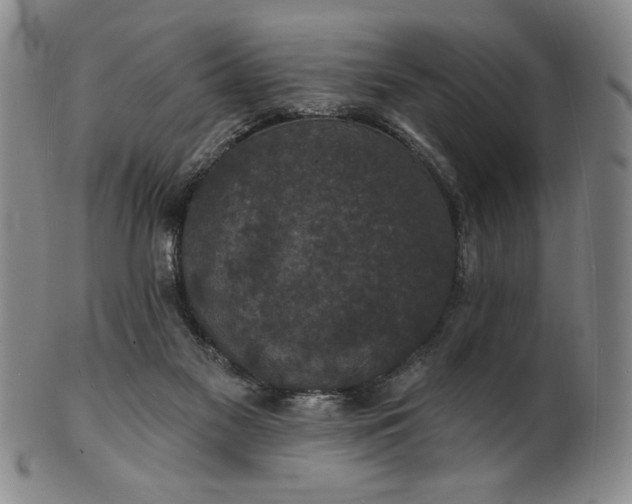 X0000102230117200808081356