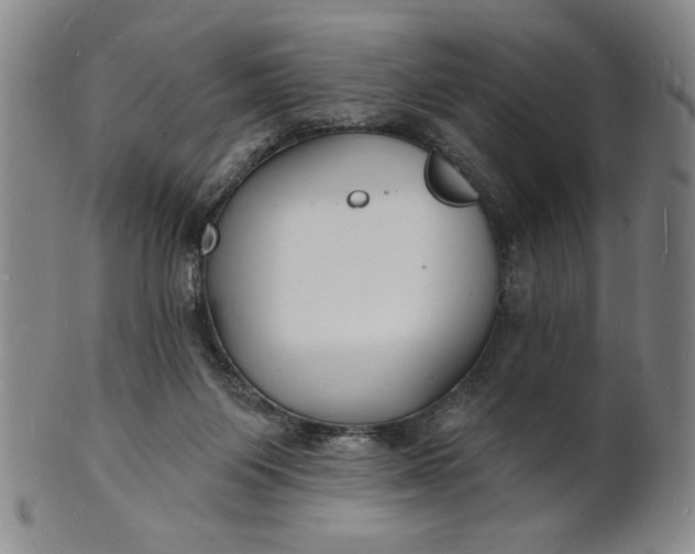 X0000102230119200808081356