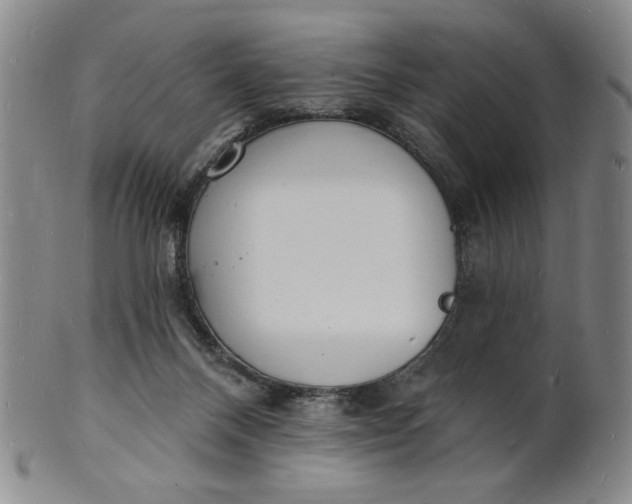 X0000102230120200808081356