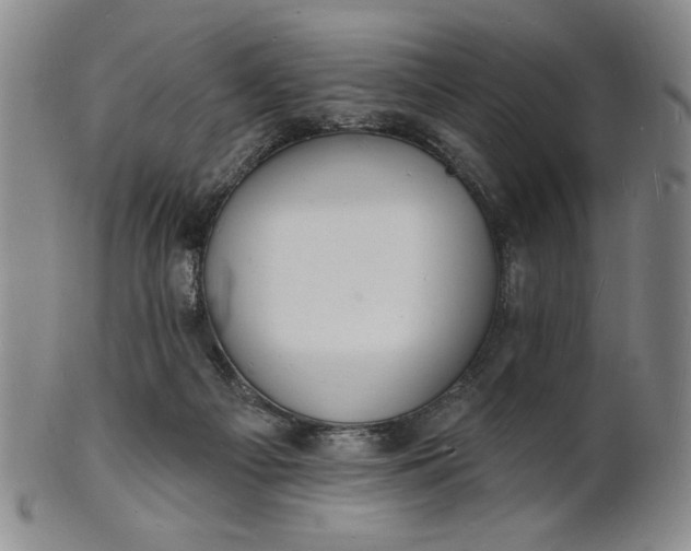 X0000102230121200808081356