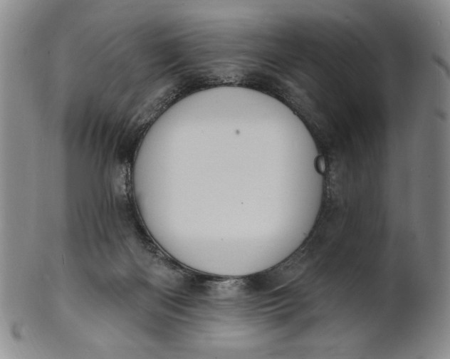 X0000102230122200808081356
