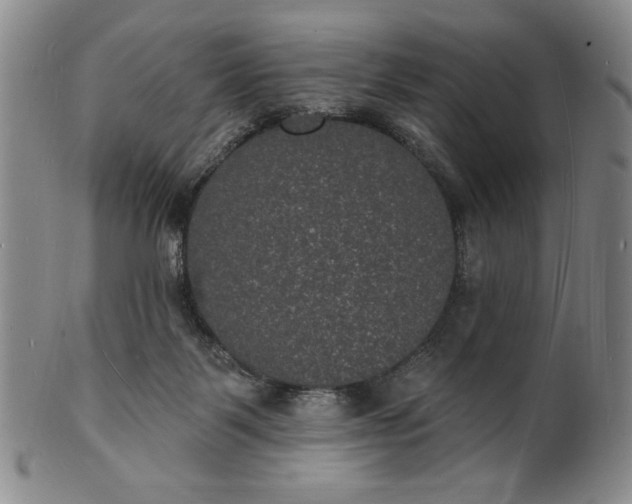 X0000102230123200808081356