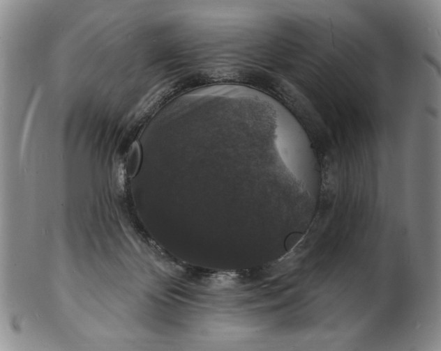 X0000102230124200808081356
