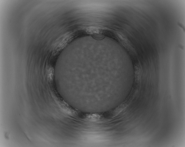 X0000102230125200808081356