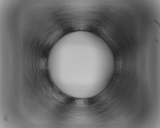 X0000102230126200808081356
