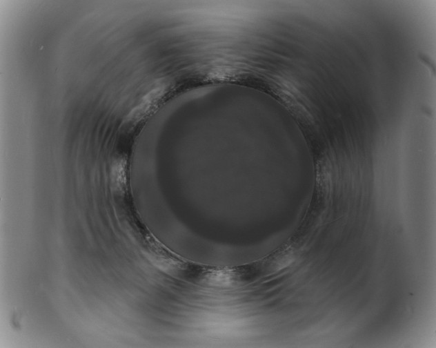 X0000102230127200808081356