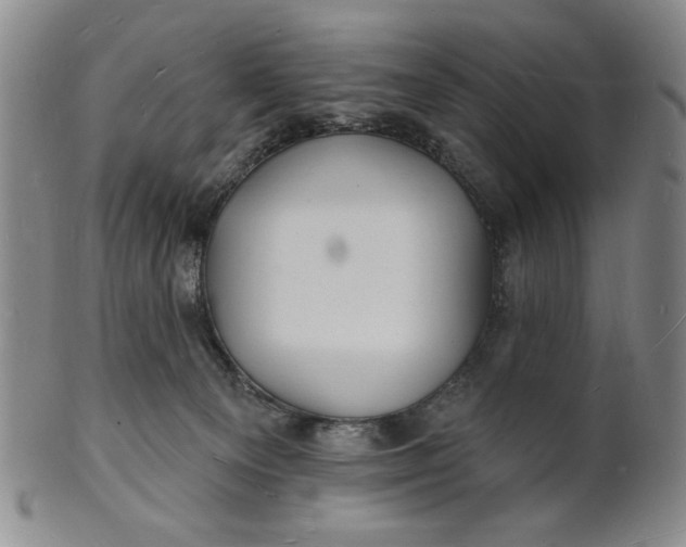 X0000102230129200808081356