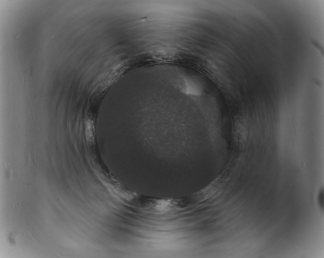 X0000102230130200808081356