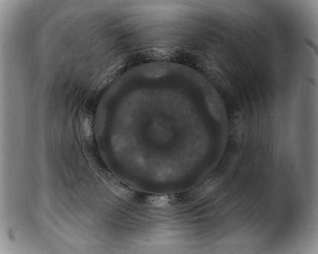 X0000102230131200808081356