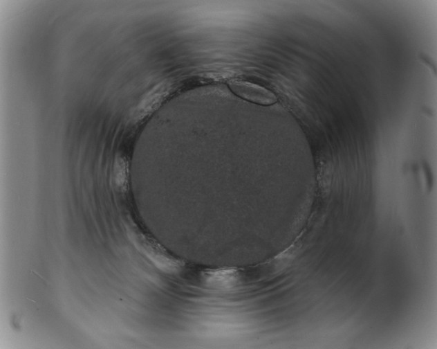 X0000102230132200808081356