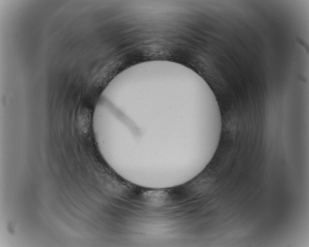 X0000102230133200808081356