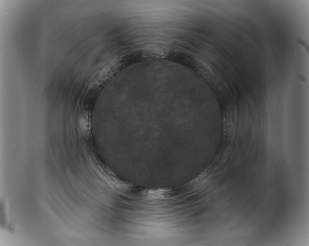 X0000102230134200808081356