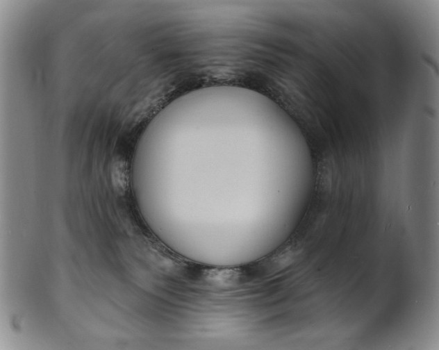 X0000102230135200808081356