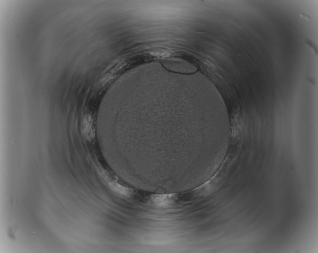 X0000102230136200808081356
