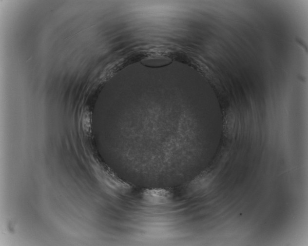 X0000102230137200808081356