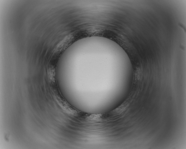 X0000102230138200808081356