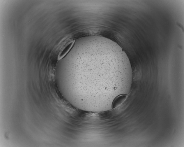 X0000102230140200808081356