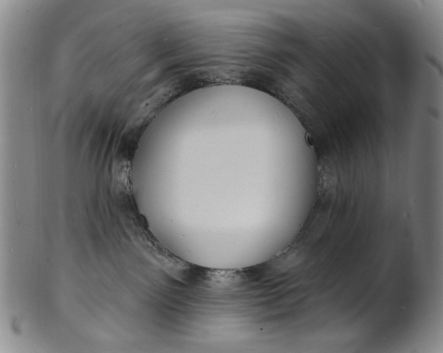 X0000102230141200808081356