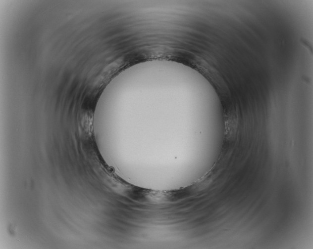 X0000102230142200808081356