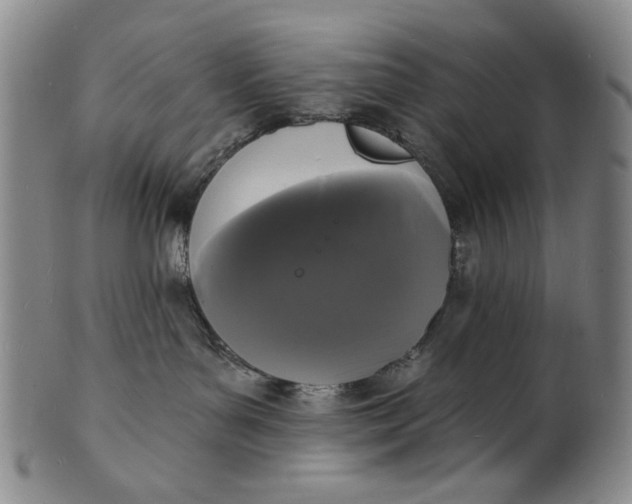 X0000102230143200808081356