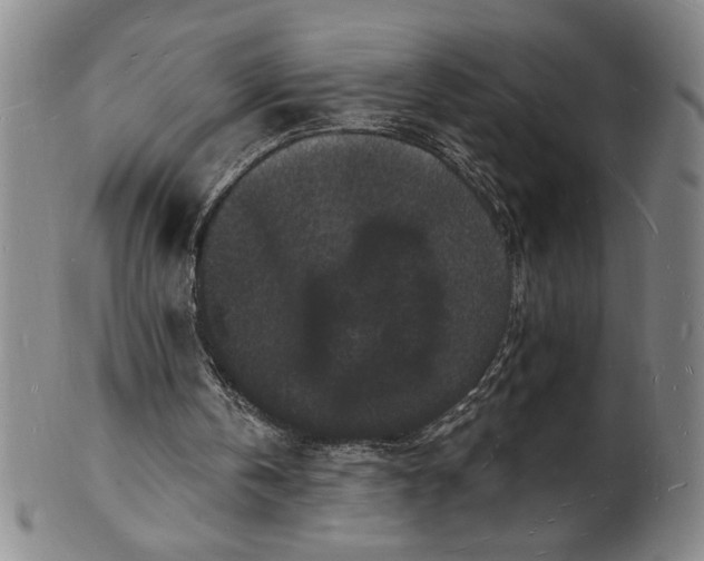 X0000102230146200808081355