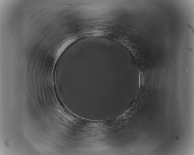 X0000102230147200808081355