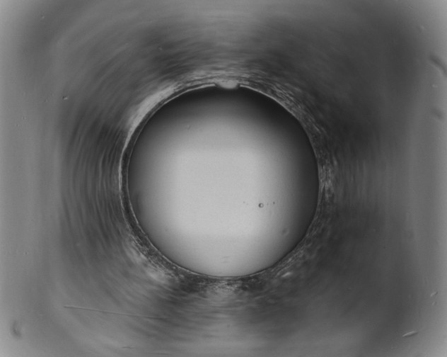 X0000102230148200808081355