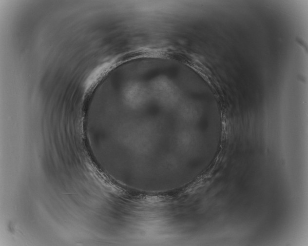 X0000102230149200808081355