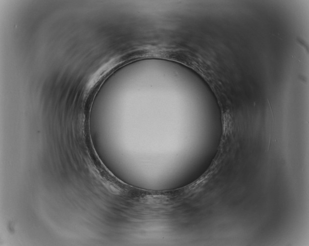 X0000102230150200808081355