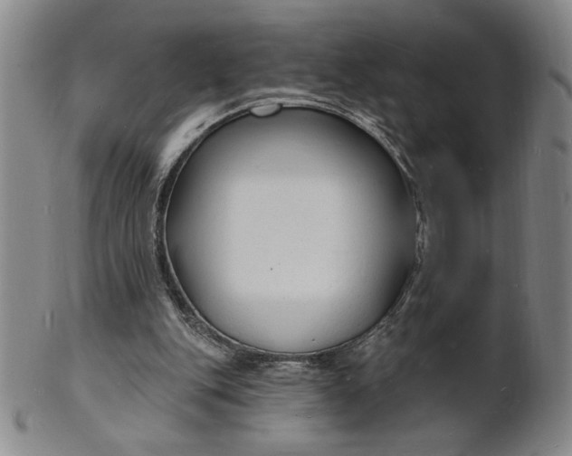 X0000102230151200808081355