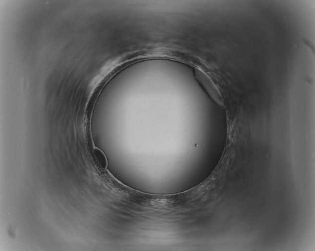 X0000102230152200808081355