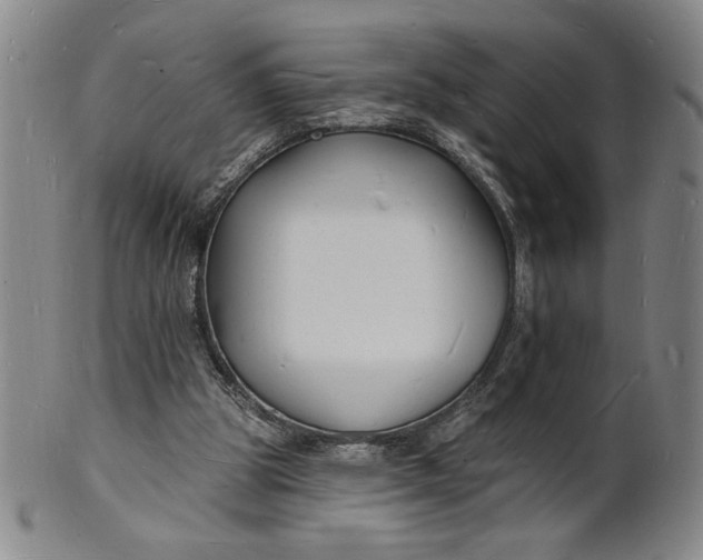 X0000102230153200808081355