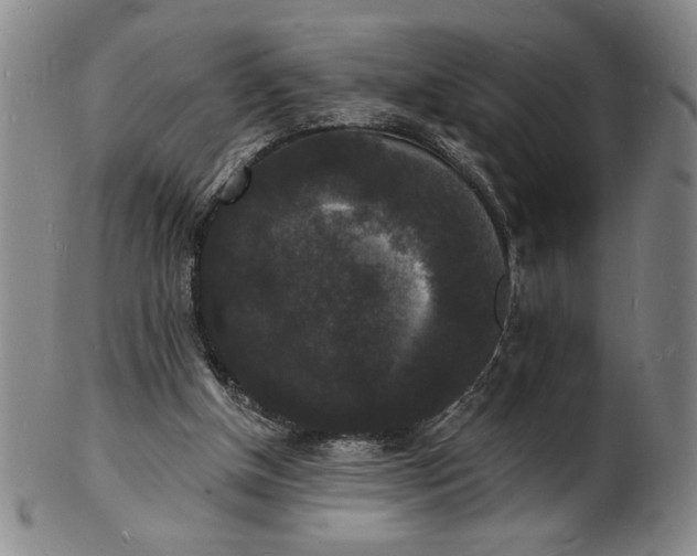 X0000102230154200808081355