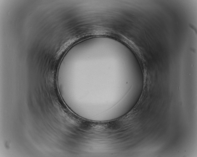 X0000102230155200808081355