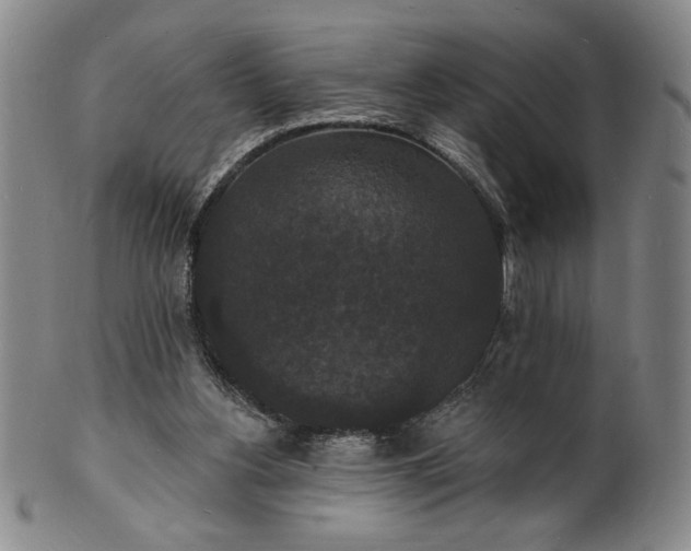 X0000102230156200808081355