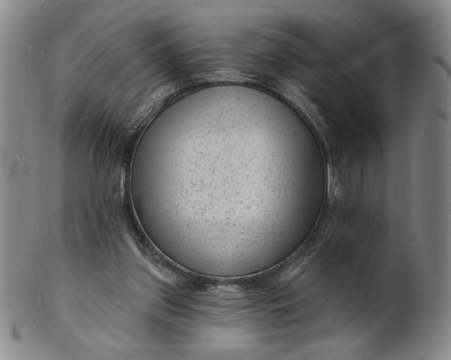 X0000102230157200808081355