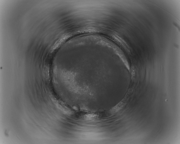 X0000102230158200808081355