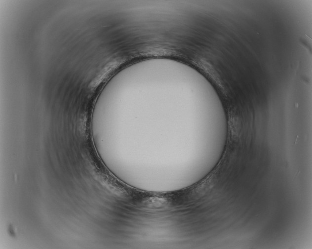 X0000102230159200808081355