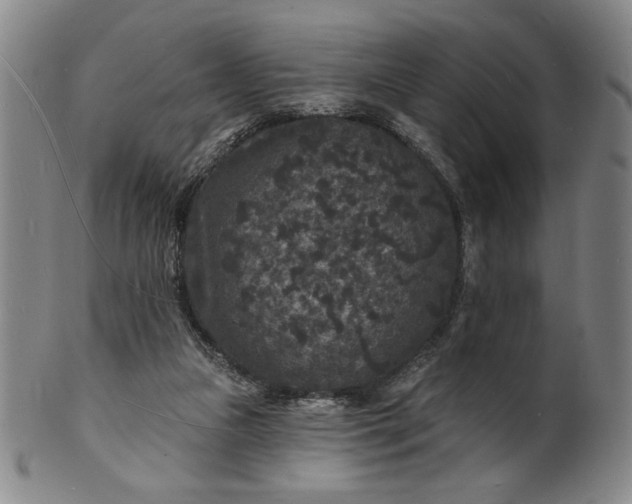 X0000102230161200808081355