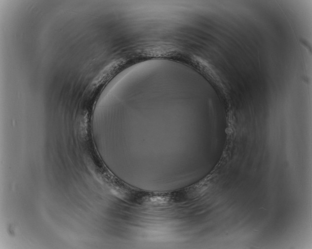 X0000102230163200808081355