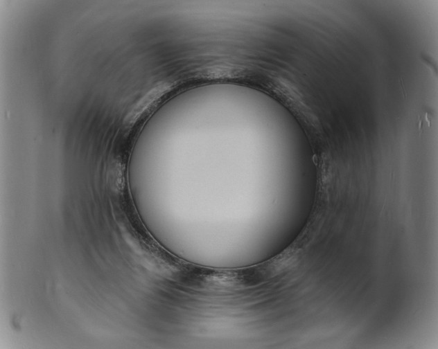 X0000102230164200808081355