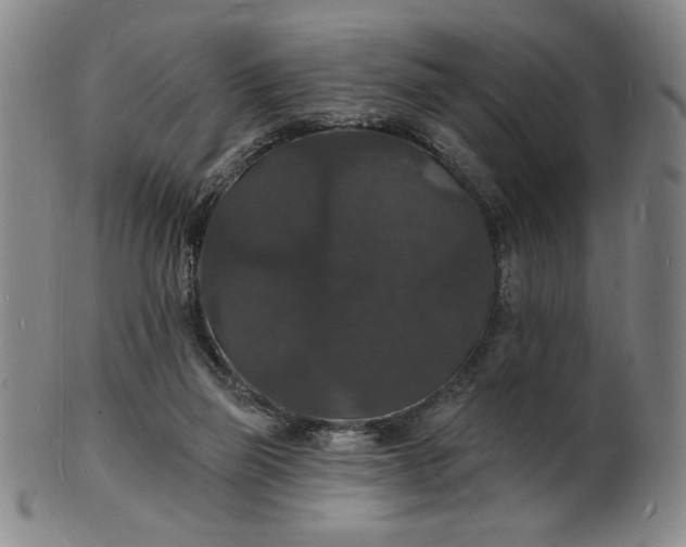 X0000102230165200808081355