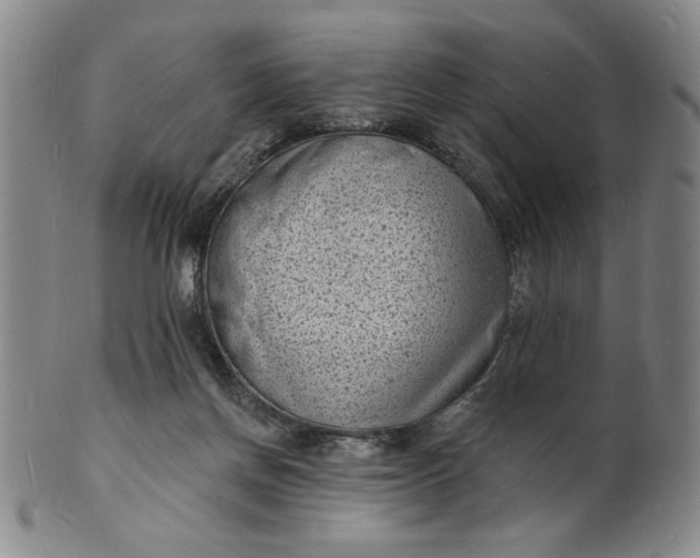 X0000102230166200808081355