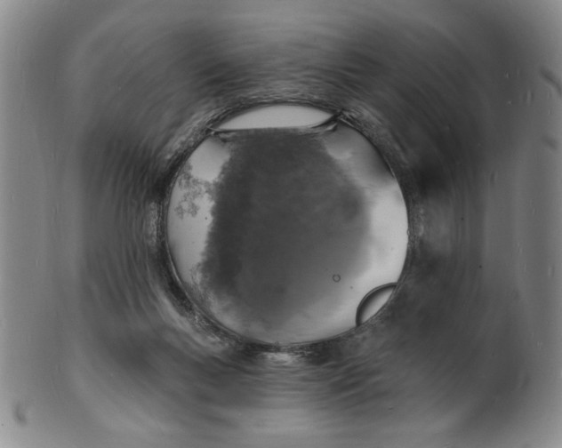 X0000102230167200808081355