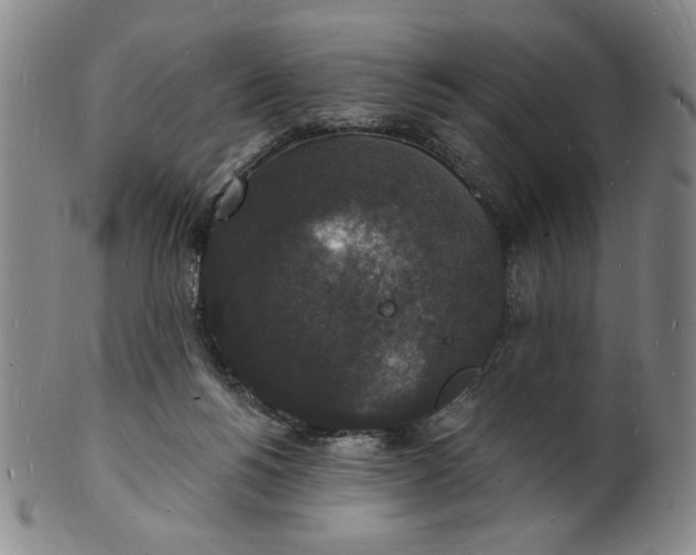 X0000102230168200808081355