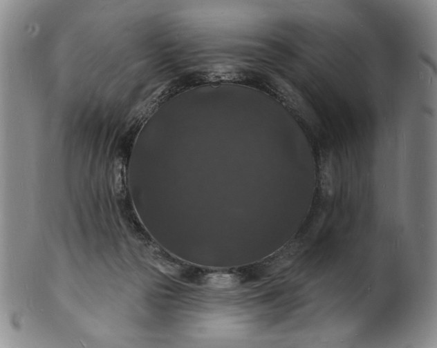 X0000102230169200808081355