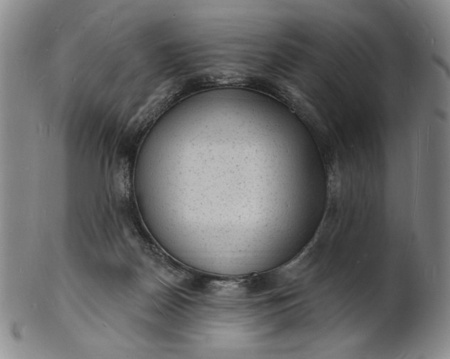 X0000102230170200808081355