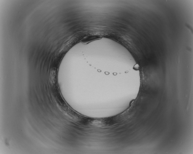 X0000102230171200808081355