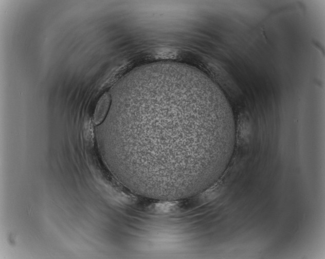 X0000102230172200808081355