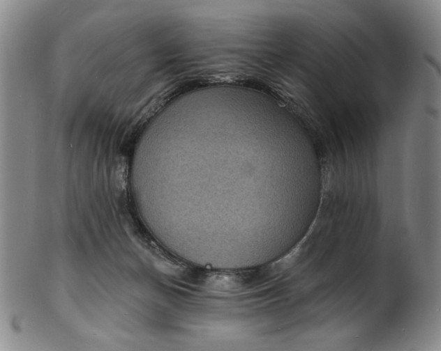 X0000102230174200808081355